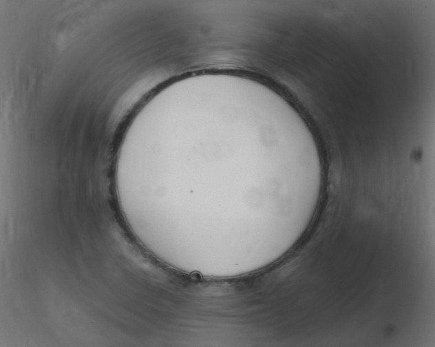 X0000116631410200912312150