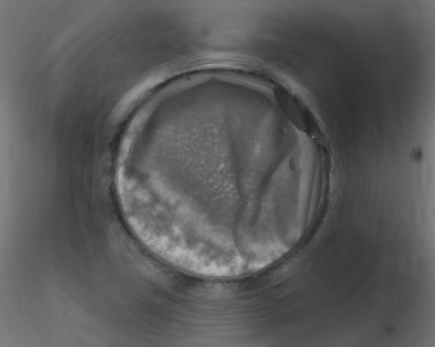 X0000116631411200912312150