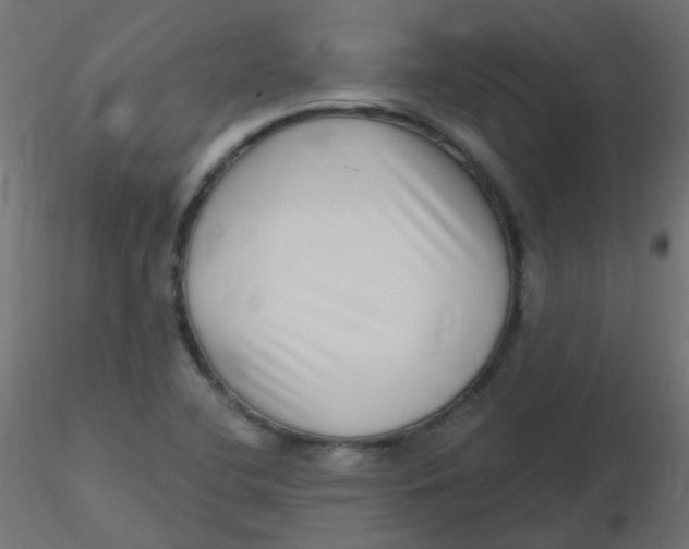 X0000116631412200912312150