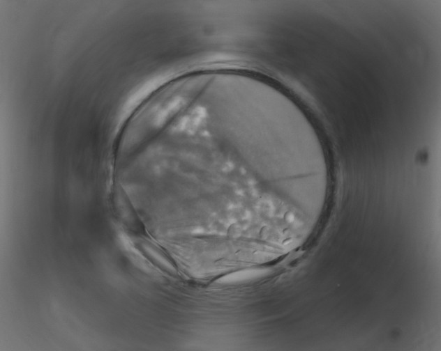 X0000116631413200912312150