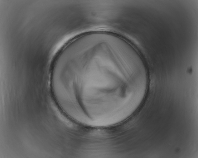 X0000116631414200912312150