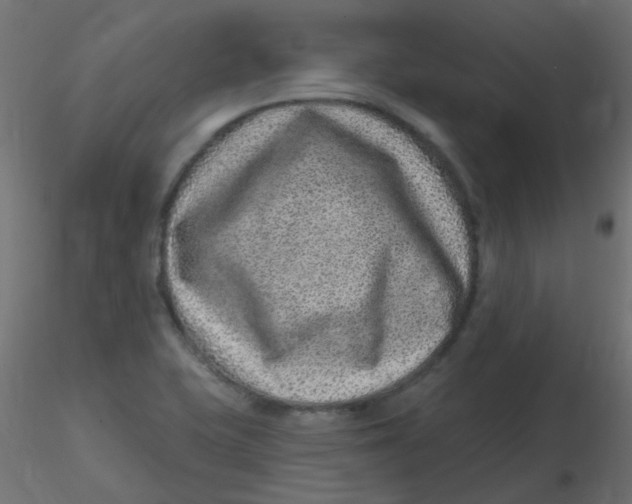 X0000116631415200912312150