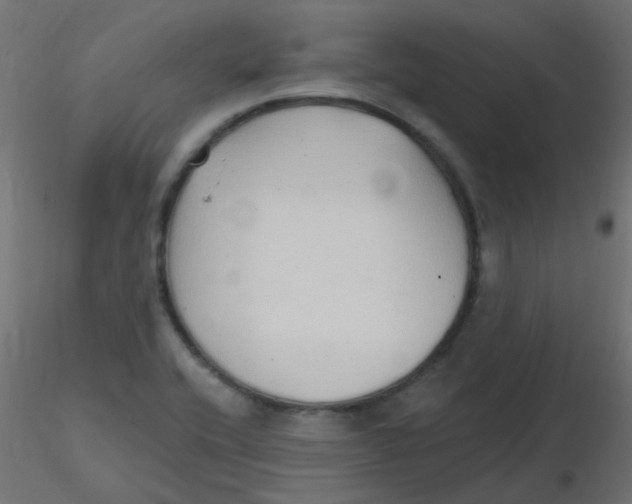 X0000116631416200912312150