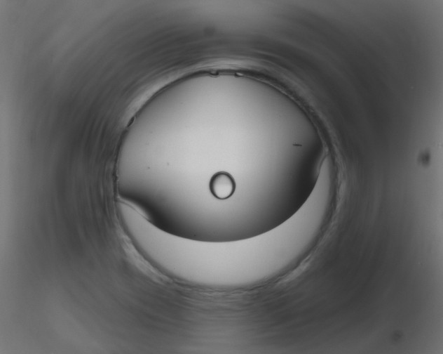 X0000116631417200912312150