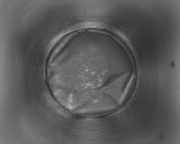 X0000116631419200912312150