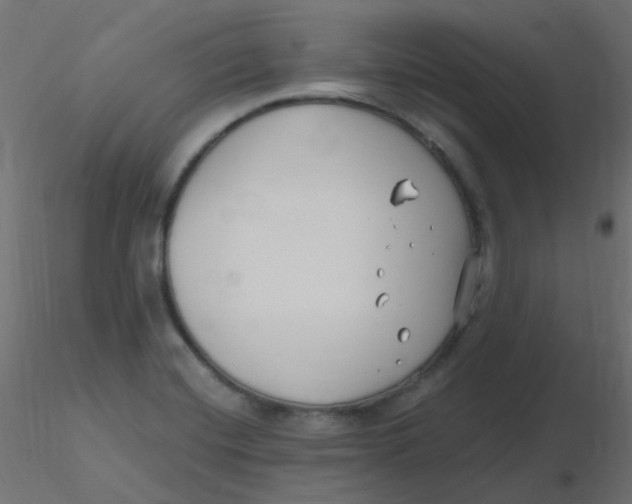 X0000116631420200912312150