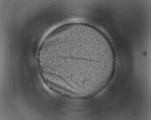 X0000116631421200912312150