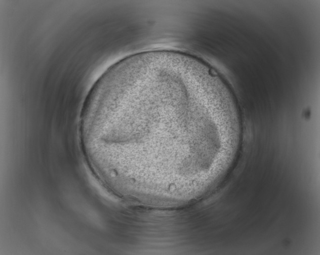 X0000116631423200912312150