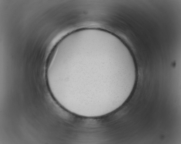 X0000116631424200912312150