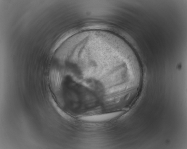 X0000116631425200912312150