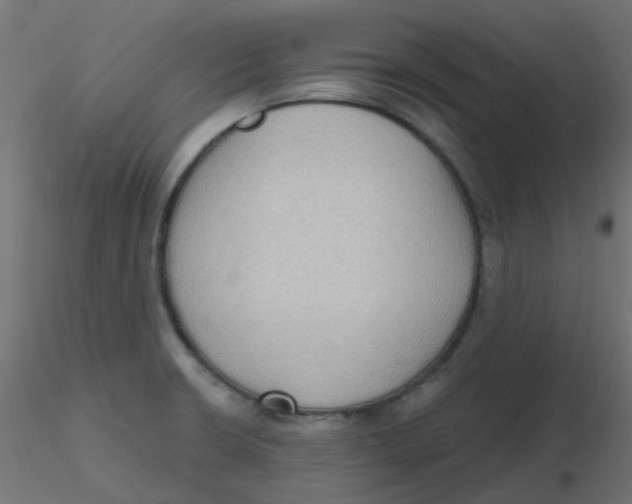 X0000116631426200912312150