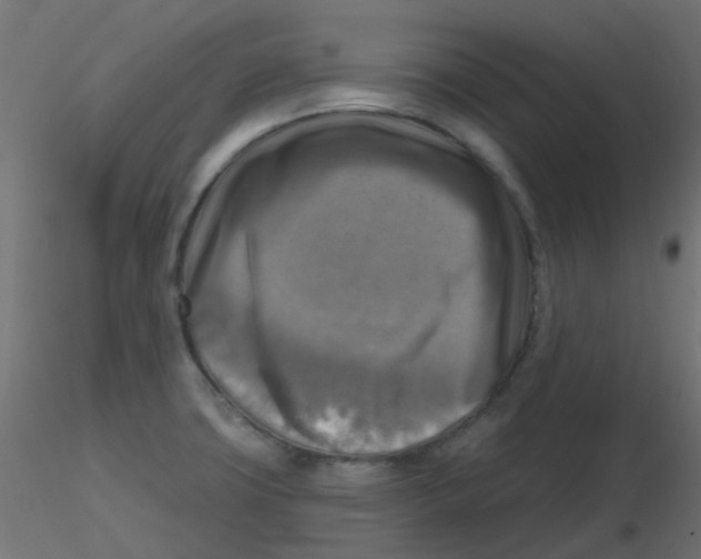 X0000116631427200912312150