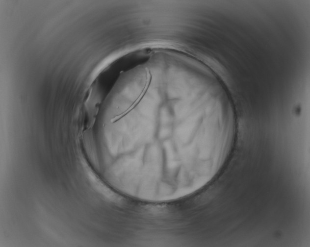 X0000116631428200912312150