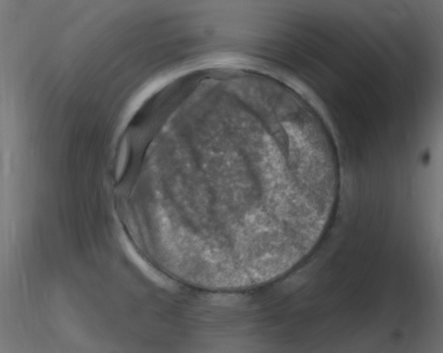 X0000116631429200912312150