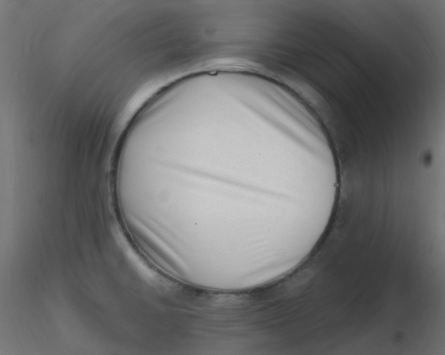 X0000116631430200912312150