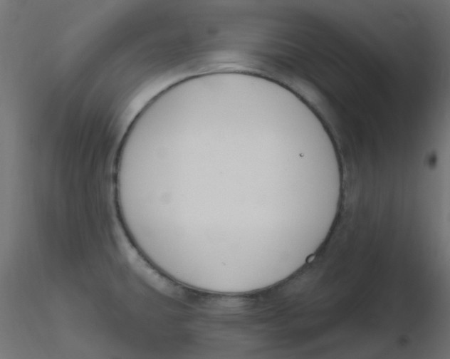 X0000116631431200912312150