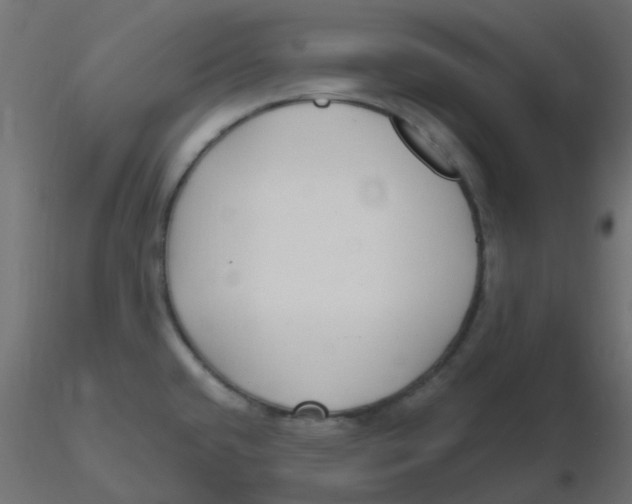 X0000116631432200912312150