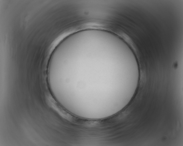 X0000116631435200912312150