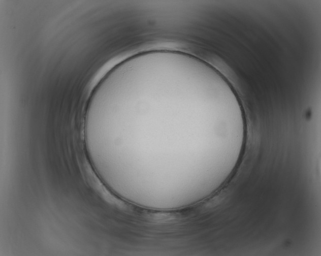X0000116631436200912312150