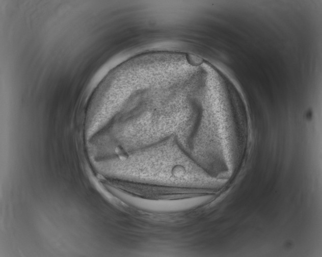 X0000116631437200912312150