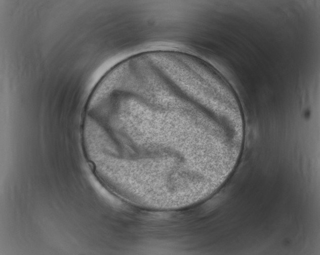 X0000116631438200912312150