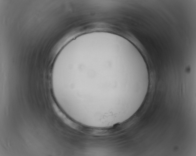 X0000116631439200912312150