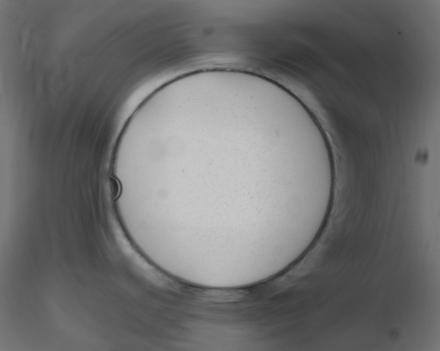 X0000116631440200912312150