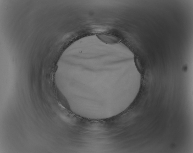 X0000116631441200912312150
