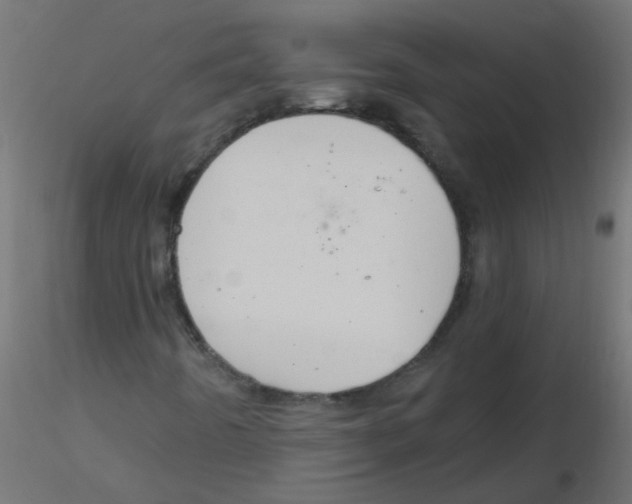 X0000116631442200912312150