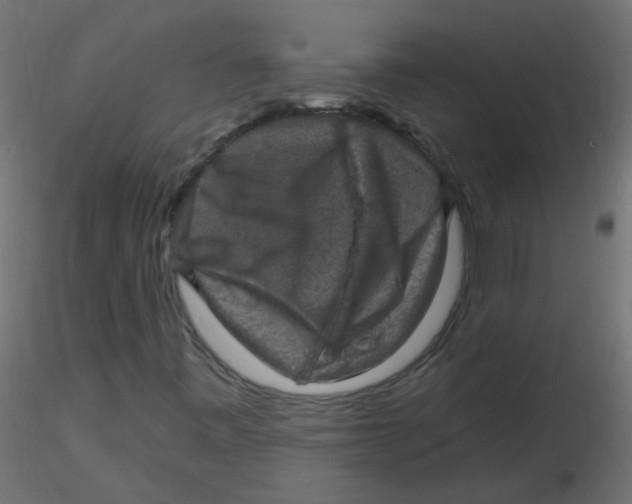 X0000116631443200912312150