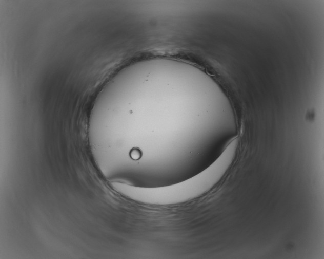 X0000116631444200912312150