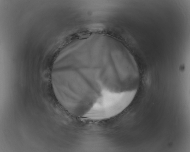 X0000116631445200912312150