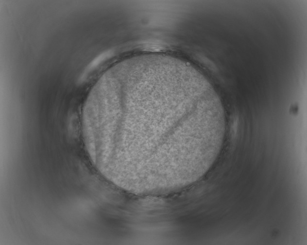 X0000116631446200912312150