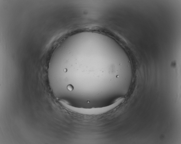 X0000116631447200912312150