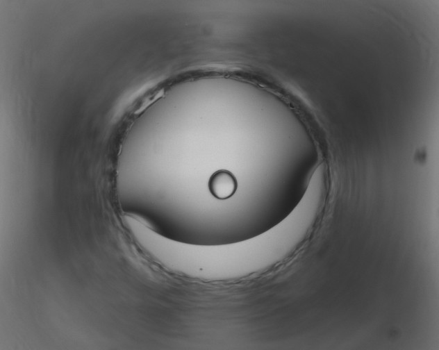 X0000116631448200912312150