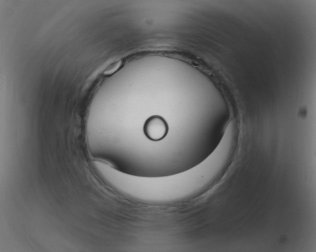 X0000116631449200912312150