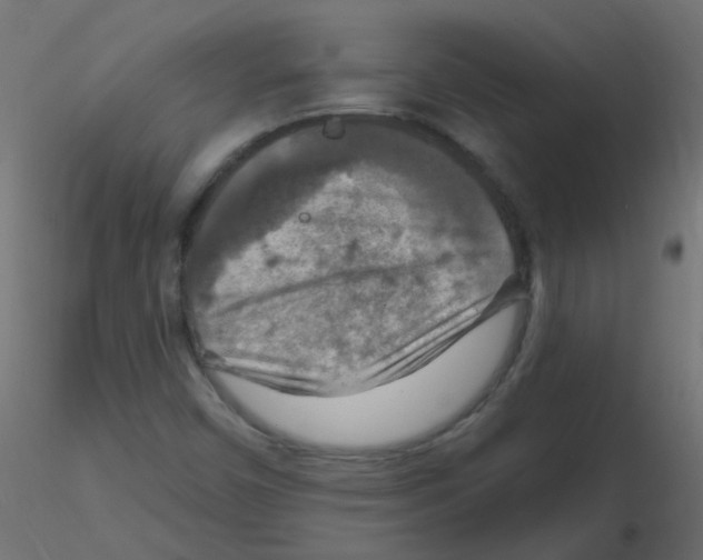X0000116631450200912312150