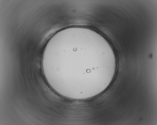 X0000116631451200912312150