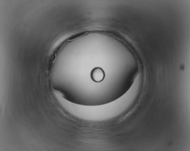 X0000116631453200912312150