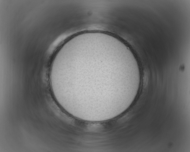 X0000116631454200912312150