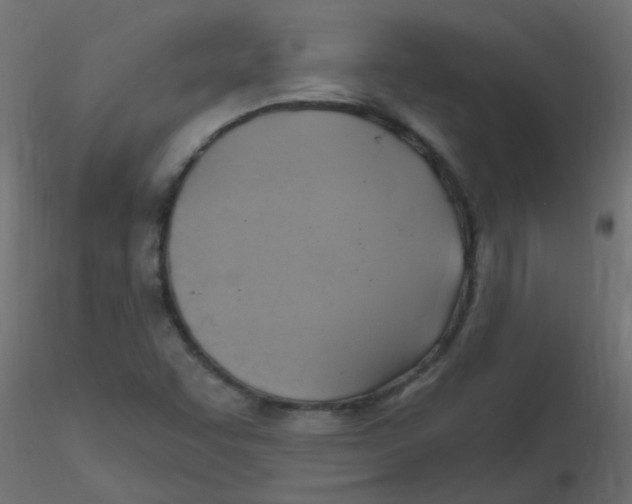 X0000116631455200912312150