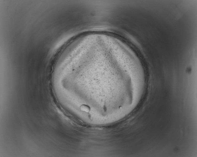 X0000116631456200912312150