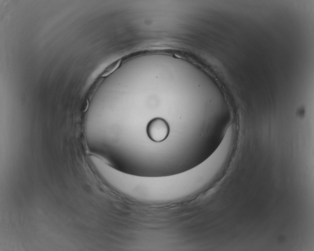 X0000116631457200912312150