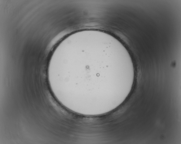 X0000116631458200912312150