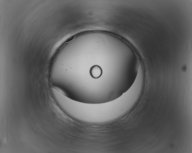 X0000116631460200912312149