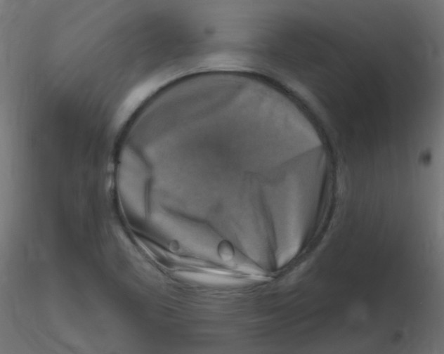 X0000116631461200912312149