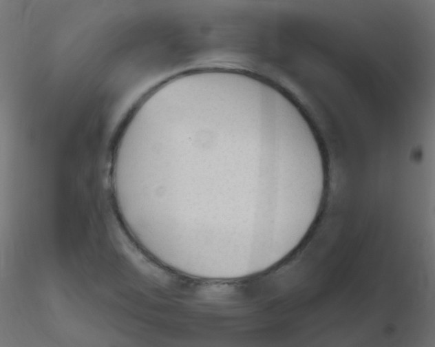 X0000116631462200912312149