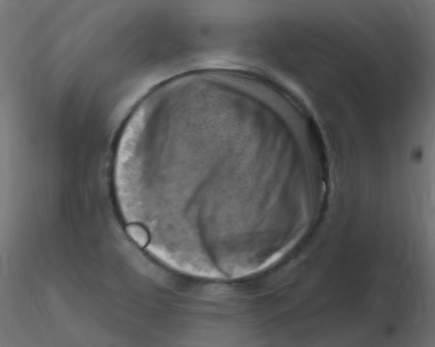 X0000116631463200912312149