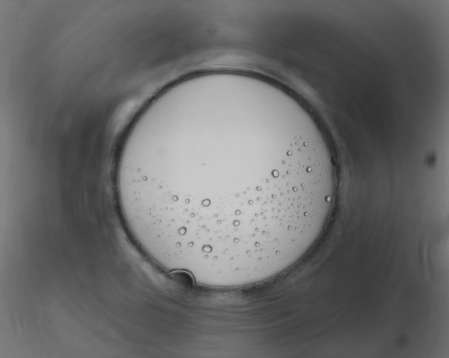 X0000116631464200912312149