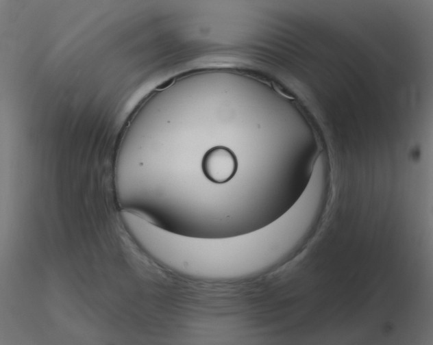 X0000116631465200912312149